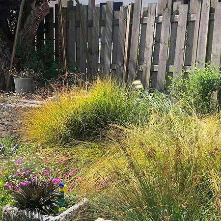 דירה Les Fleurs De Lys, Suites'appart , Entree Et Terrasse Privee Proche De La סן-ג'ורג'-דולרו