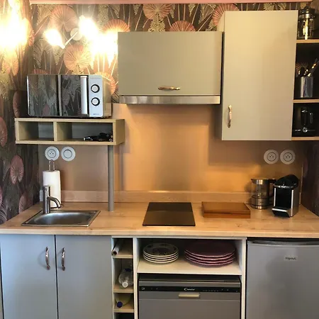 Appartement Les Fleurs De Lys, Suites'appart , Entree Et Terrasse Privee Proche De La