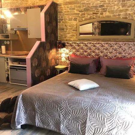 Les Fleurs De Lys, Suites'appart , Entree Et Terrasse Privee Proche De La 公寓