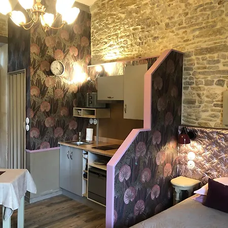 Les Fleurs De Lys, Suites'appart , Entree Et Terrasse Privee Proche De La