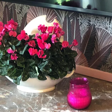 公寓 Les Fleurs De Lys, Suites'appart , Entree Et Terrasse Privee Proche De La 奥雷龙圣乔治