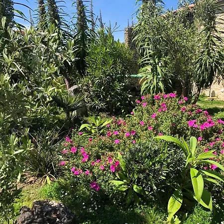 Ile D'oleron, Suite'appart Le Lys Martagon, Entree Et Terrasse Privee Proche De La 생-조르주-돌레롱