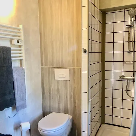 Appartement Les Fleurs De Lys, Suites'appart , Entree Et Terrasse Privee Proche De La