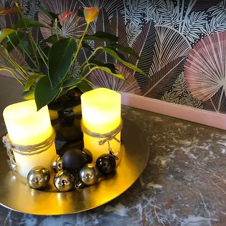 Les Fleurs De Lys, Suites'appart , Entree Et Terrasse Privee Proche De La Lägenhet